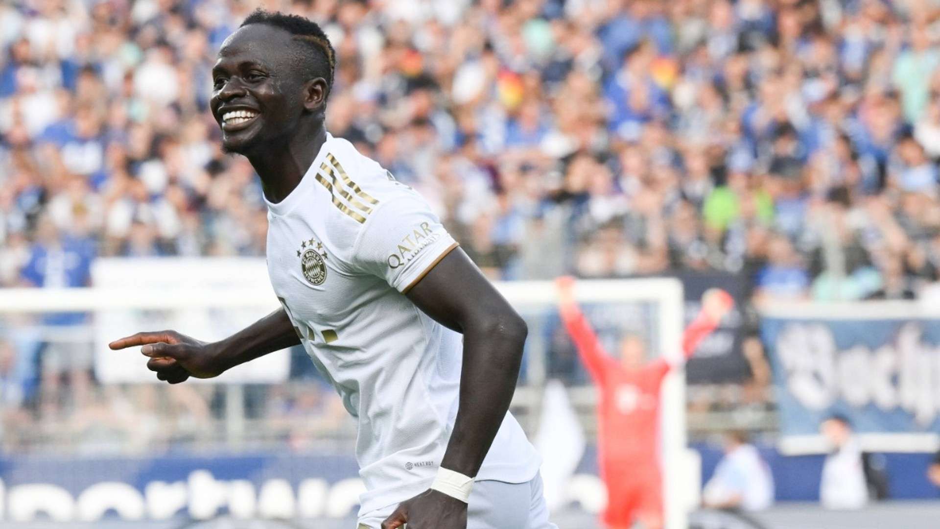 会召开了 会召开了